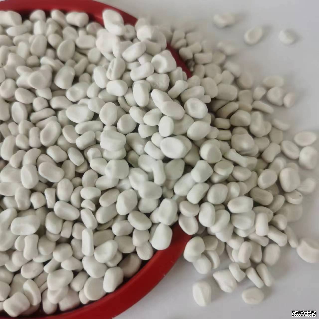 JPAI(China)官网